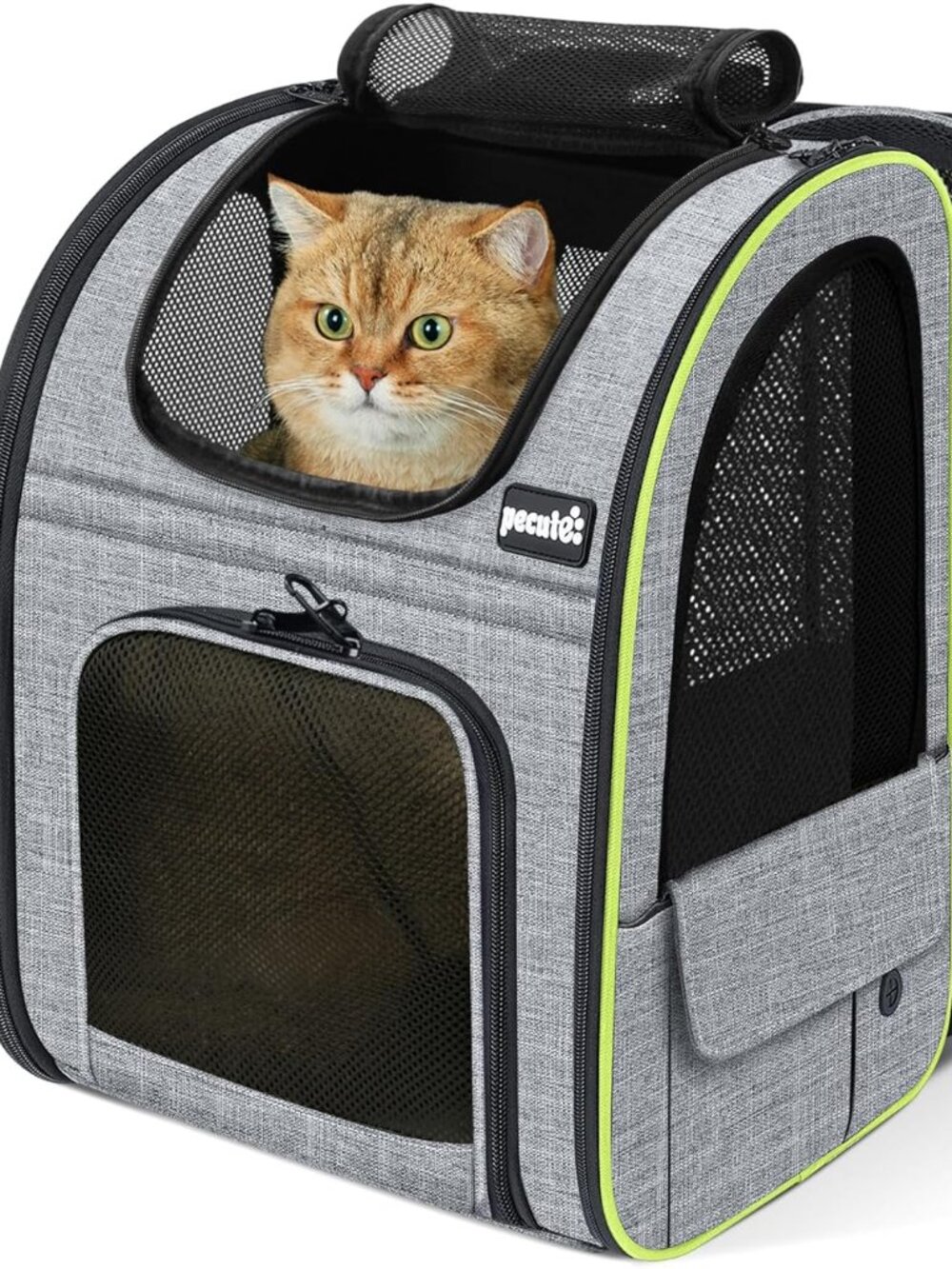 Pecute Cat Backpack Carrier Expandable , Foldable Pet Backpack - Grey/Black